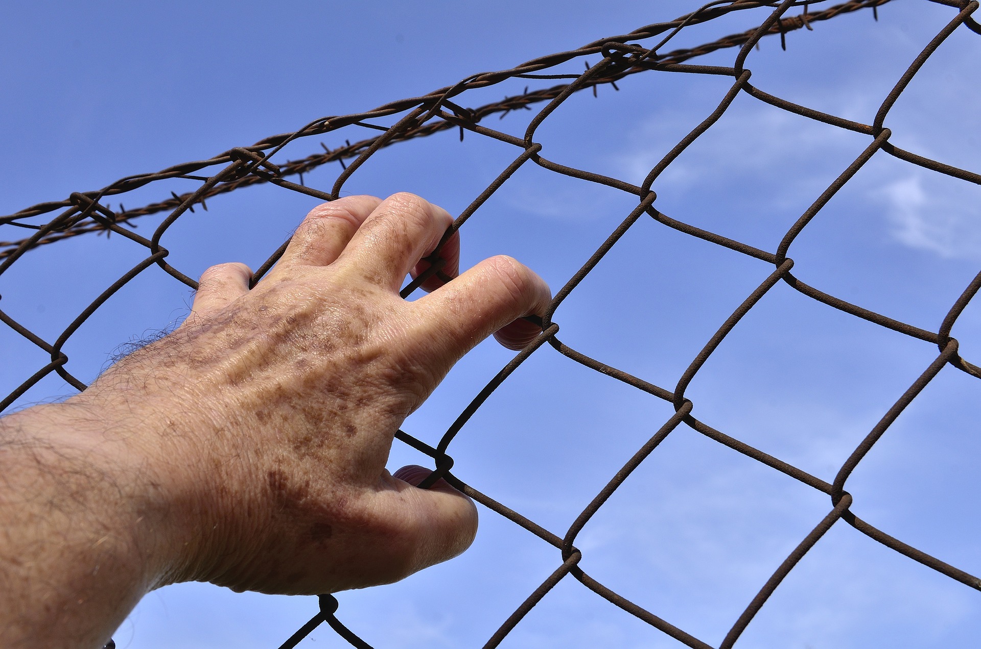 barbed-wire-g84885eaa8_1920 consecuencias legales